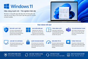Windows 11 Pro
