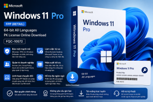 Windows 11 Pro FQC-10572