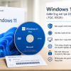 Windows 11 Pro