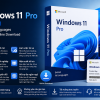 Windows 11 Pro FQC-10572
